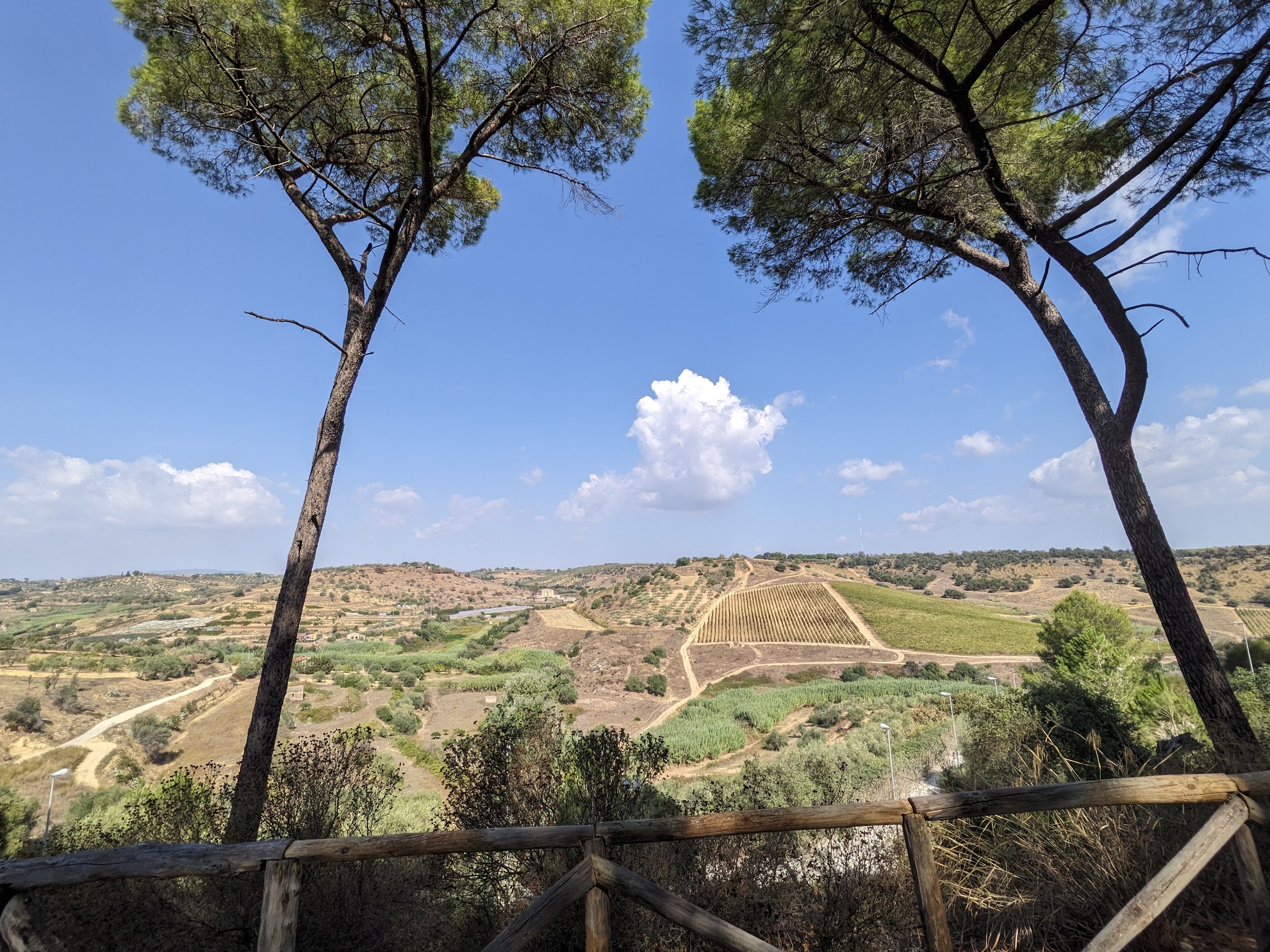 Feudi Del Pisciotto