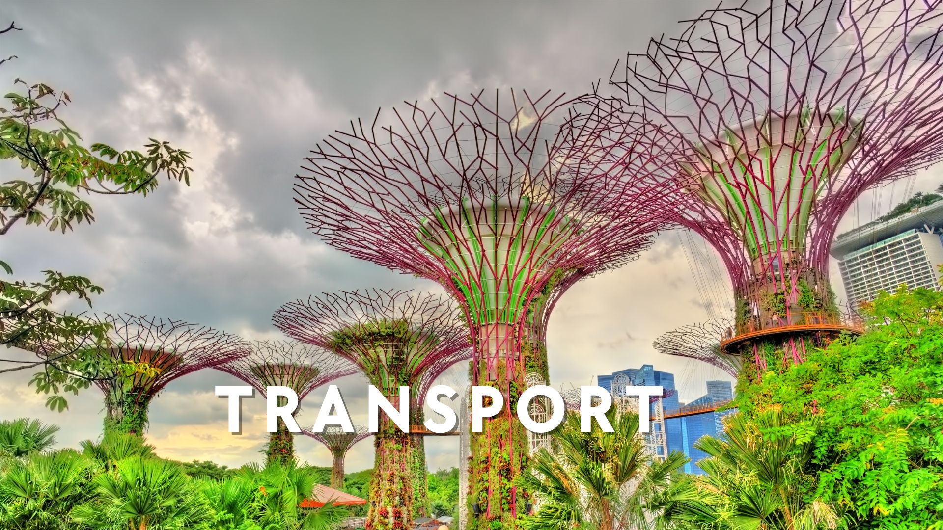 Singapore - Shruglife.net - Atlashruggin.com/Singapore