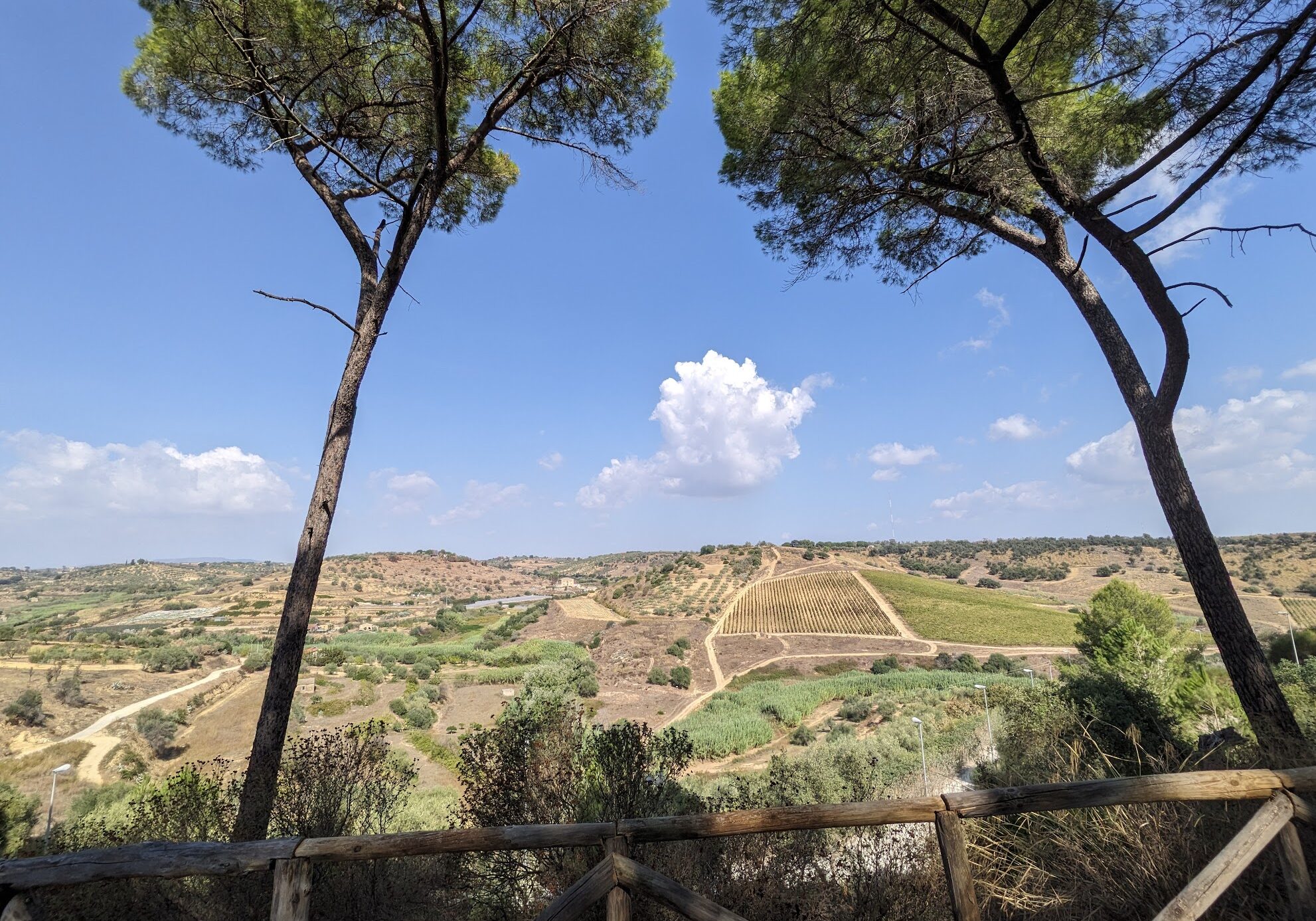 Feudi Del Pisciotto