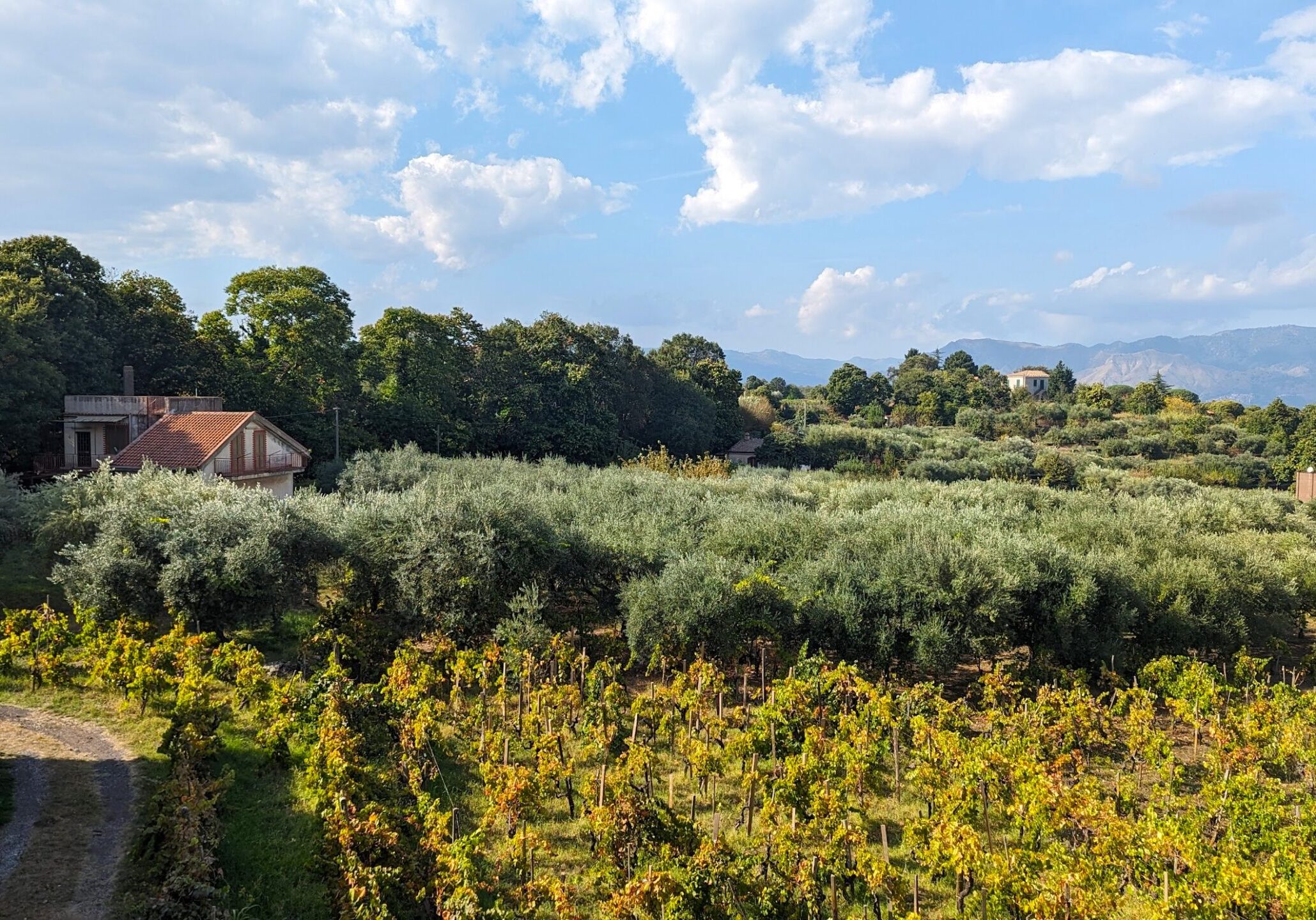 Tenuta Di Fesina. Wine Tasting on Mount Etna. Sicily, Italy. Atlashrugging.com/Italy