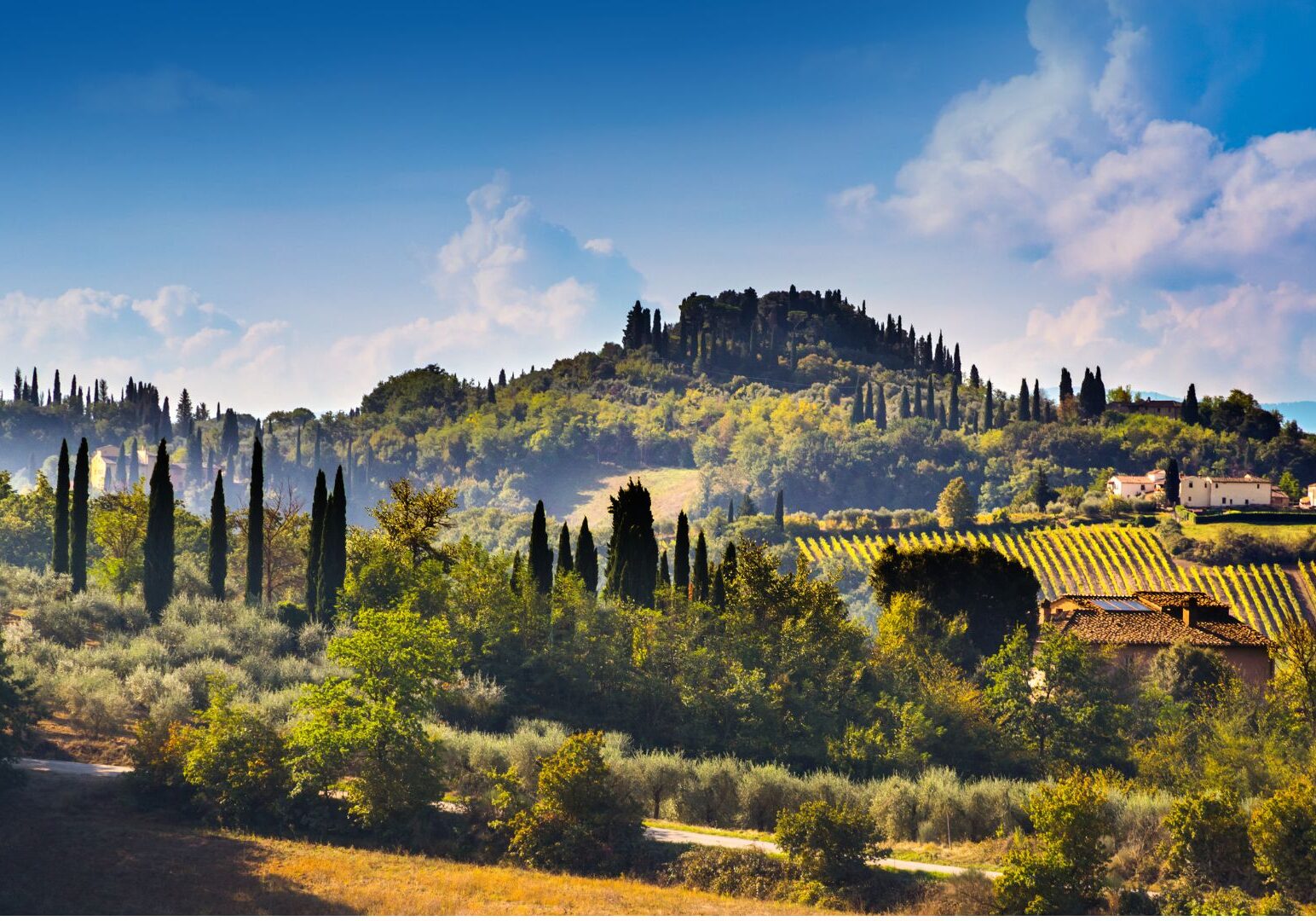Food Valley, Italy - Shruglife..net